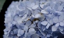 沙雕又可爱的自动回复 适合做自动回复的幽默搞笑句子