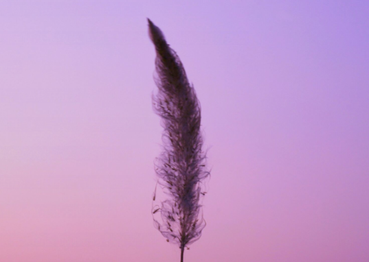 35.您的英雄将驾着五彩缤纷的云带您去酒吧摇头