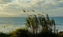 离别的句子说说或心情