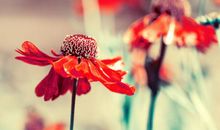 关于神态描写的开心句子大全 写人表情开心的句子