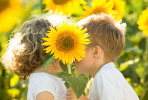 祝愿冬季周末的SMS客户