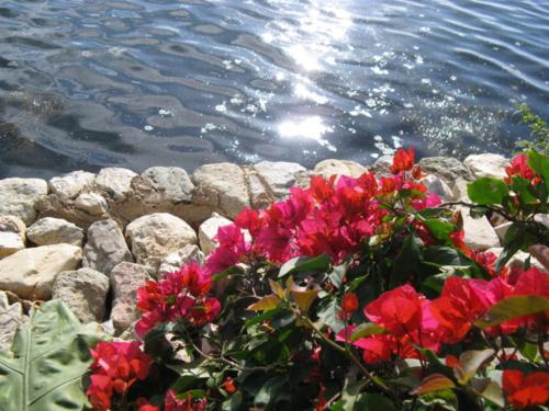 在中秋节上给领导们发短信