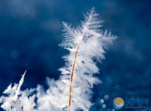 冬季经典祝福短信