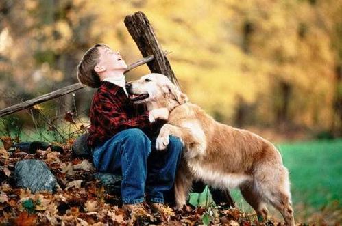 10.她充满喜悦，脸上洋溢着微笑，像鸽子一样点了点头。