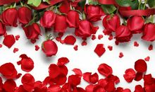 二月十四情人节短信