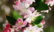 人生感悟个性签名