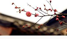 凄美的爱情个性签名