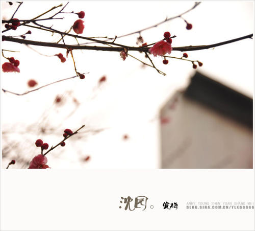 凄美的爱情签名