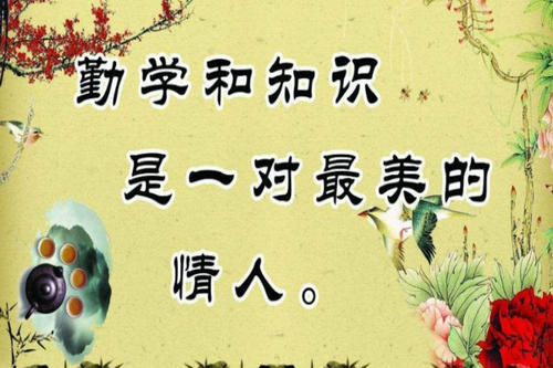 最好的报价学习