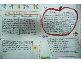 阅读小报的名言