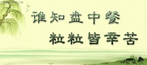 关于节省食物的名言