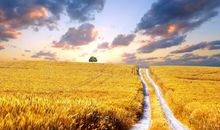 皮一下很开心的小句子 皮这一下很开心的句子