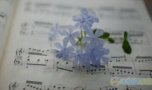 单曲循环心情说说