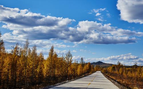 12.学生们欣喜若狂，所有人都欢呼雀跃。