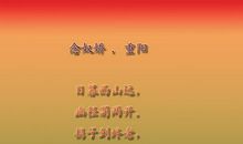 重阳节谚语大全