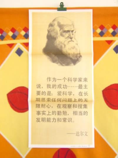 达尔文的英语报价