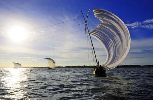 与梦有关的名言