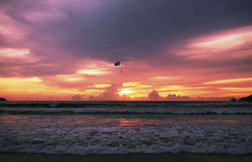 11.看到小牛醒了，他内心的喜悦消失了，他身上的每一根头发都跳得活泼。