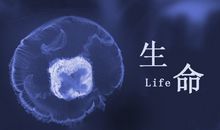 安慰失去亲人的短信