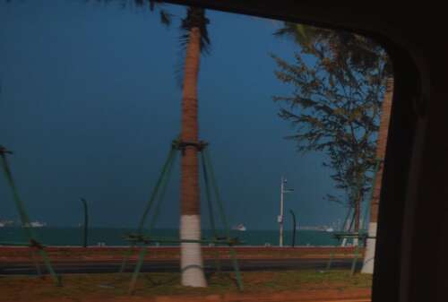 31.你放了一百个心，我不会纠缠，不会迷恋，不会歇斯底里，不会懒惰，将来，你就是你，我就是我。