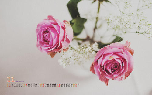 11.也许上帝希望我们在遇到合适的人之前遇到一些错误的人,以便当我们最终遇到该人时,我们将知道如何感恩。