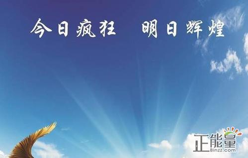 谈论团队的个性