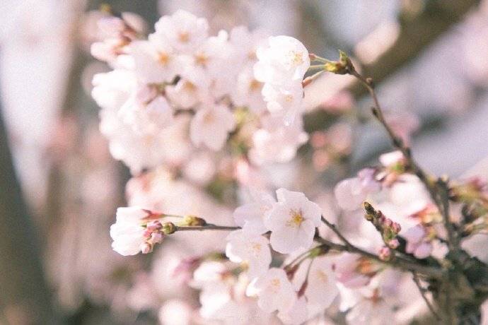 39.不要急于让生活给你所有的答案。有时，您必须表现出耐心等等。当您不期望生活的美丽时，总是会穿着服装。