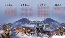 团队精神的名言警句