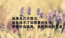 关于生活的感悟的句子