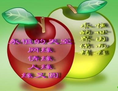 友谊行情和句子