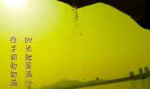 经典名句人生感悟