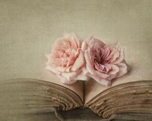 2016年霸气谈论控制