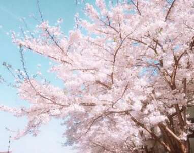 个性签名，美丽而富有诗意