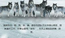 狼性励志名言