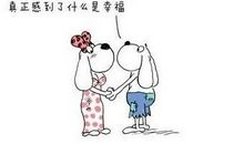 哄老婆开心的话