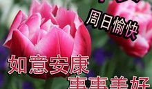 经典周末祝福短信