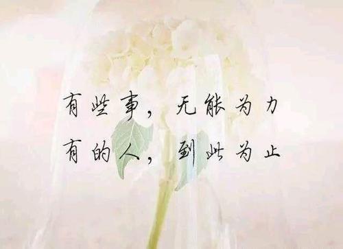 QQ谈论心情短语美丽