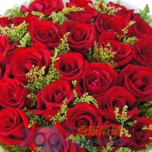 家庭生日祝福短信