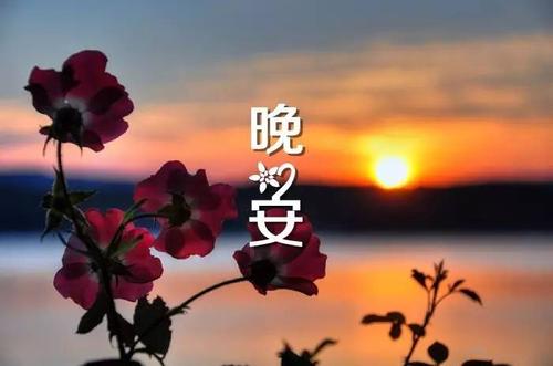 晚安留言