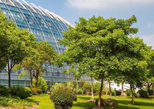 生日祝福短信长者