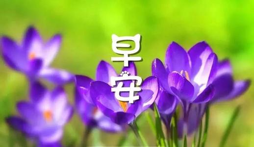 早上好心情短语