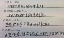 追女孩搞笑说说