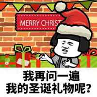 有趣的圣诞节