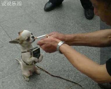 谈谈QQ空间中的搞笑个性