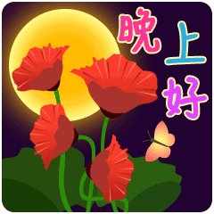 夜晚的祝福
