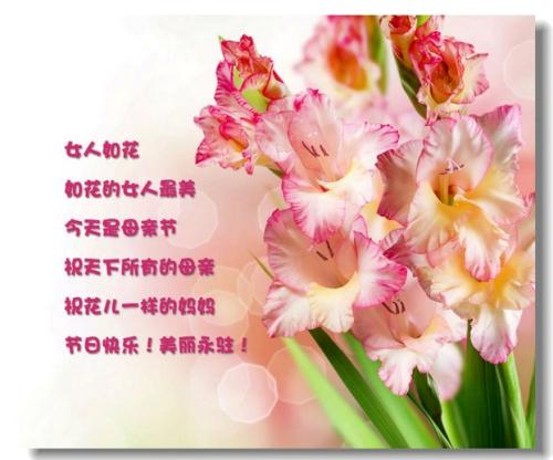母亲节手机祝福短信