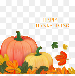 感恩节温馨信息