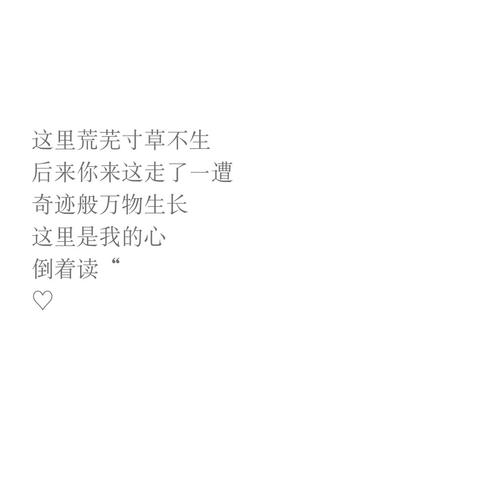 美丽的爱情讯息