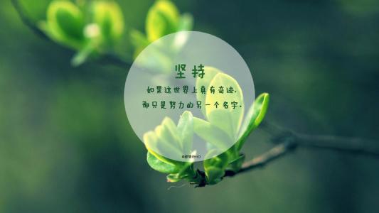 QQ女孩疯狂个性签名