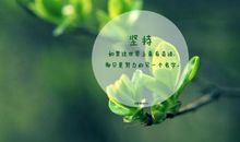 qq女生疯狂个性签名